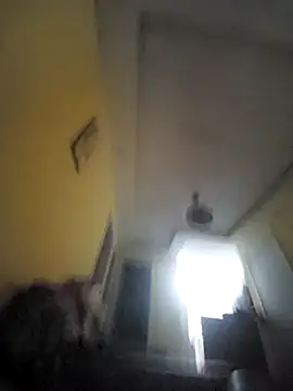 pretosali webcam