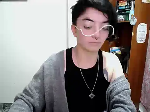 Came-II webcam