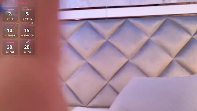 gemma_sm webcam