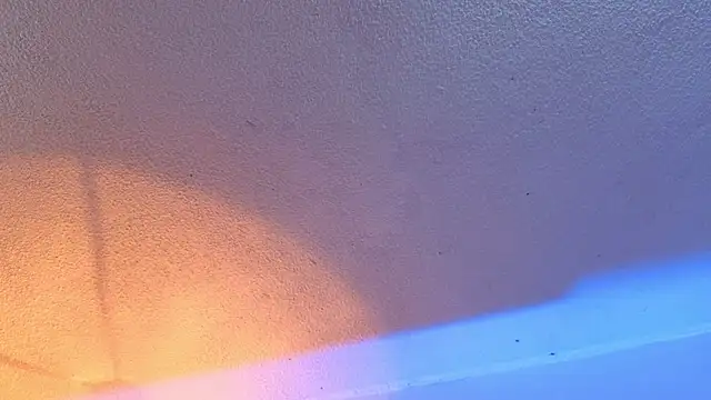 Viioletcollins webcam