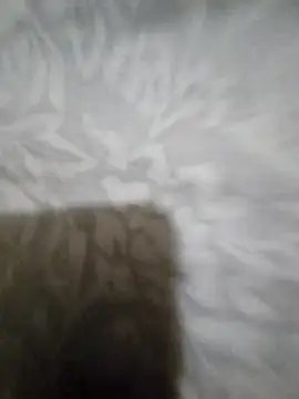 wildflawer1 webcam