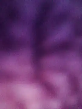 DigCrok webcam
