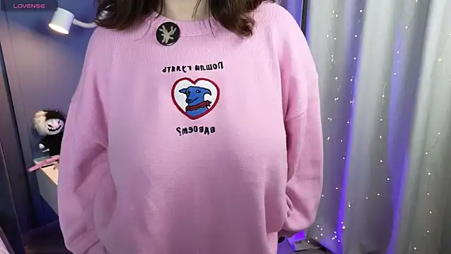 Sofizen webcam