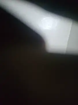 Geespise webcam