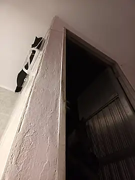 Alliceadams webcam