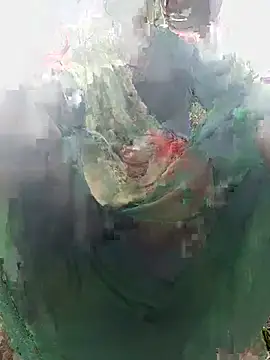 Kajalpal4767 webcam