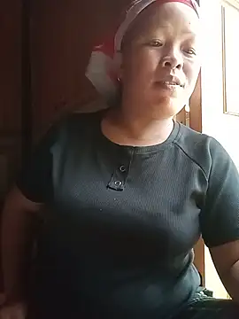 Ip34 webcam
