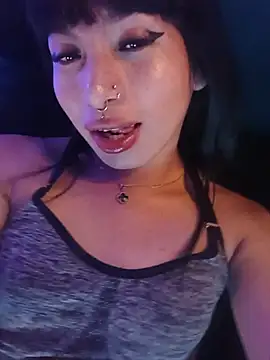 MeelFox webcam