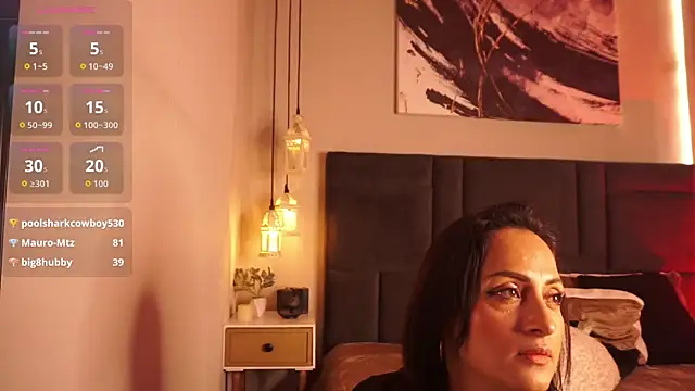 evazul webcam