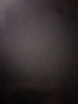 R-ant12 webcam