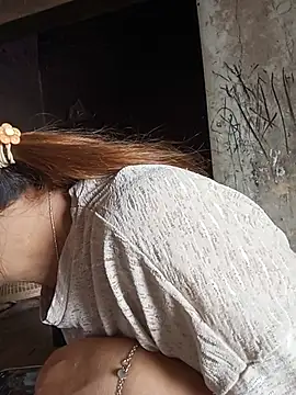 GiniEi webcam