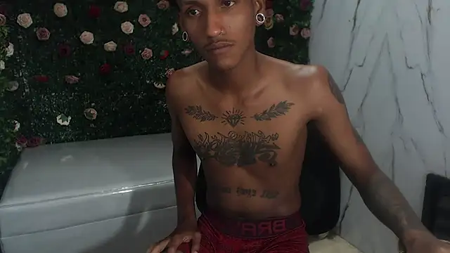 ManSant webcam