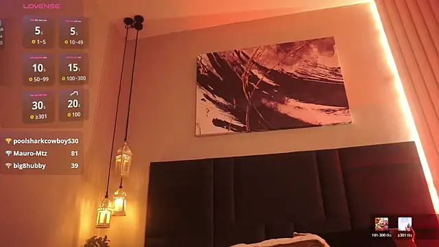 evazul webcam