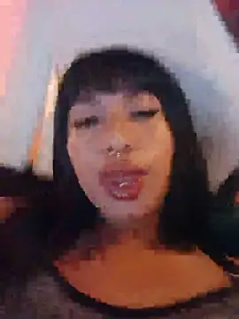MeelFox webcam