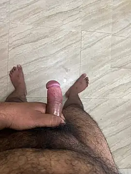 bigBoy_SL webcam