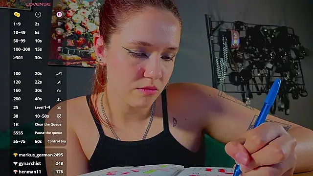Serve_to_Alexa webcam