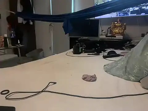 max911111 webcam