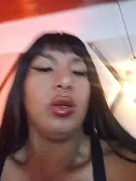 MeelFox webcam