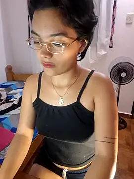 Meeliivee webcam