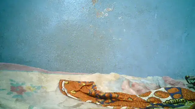 little__joy webcam