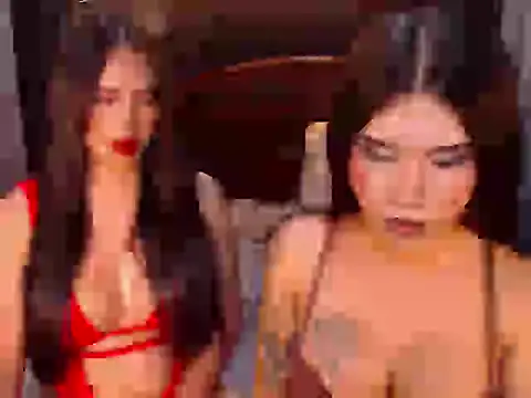 TRANSPORNIDOL webcam