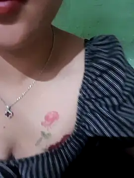 Linksys_nicee webcam