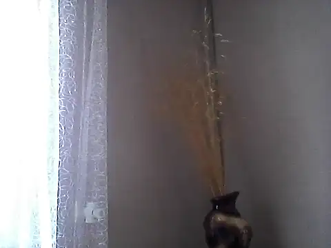 Littlecatme webcam