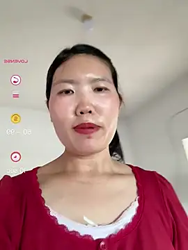 hjlp05 webcam