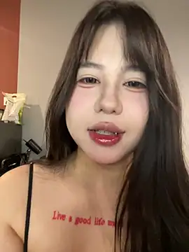 AAin-00 webcam