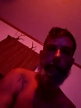 longerFellow webcam