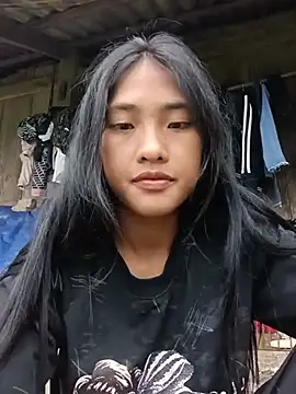 Hoa-tuylip
