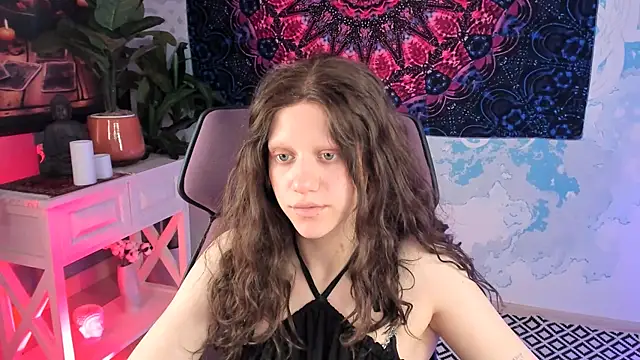 LidaDarknet webcam