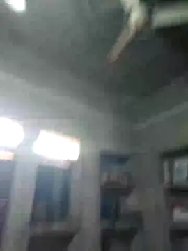Loomaraj webcam