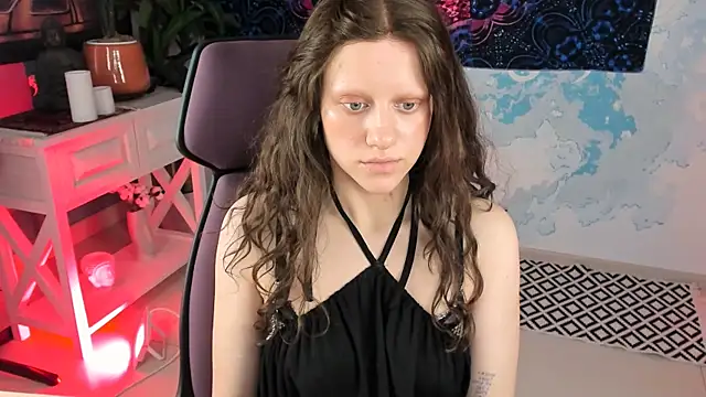 LidaDarknet webcam