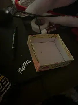 ilievmt84 webcam
