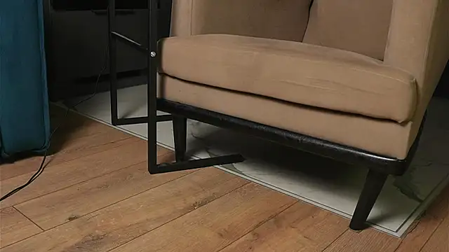 Yourfreebird webcam