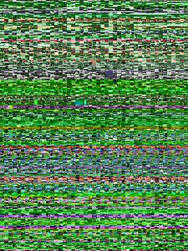 Roinuj098 webcam