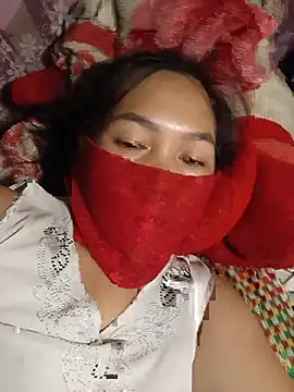 Hiha-nn webcam