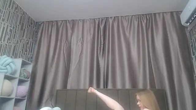 scyrim2 webcam