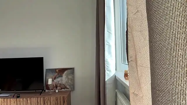 art_object webcam