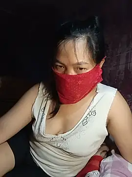 Hiha-nn webcam