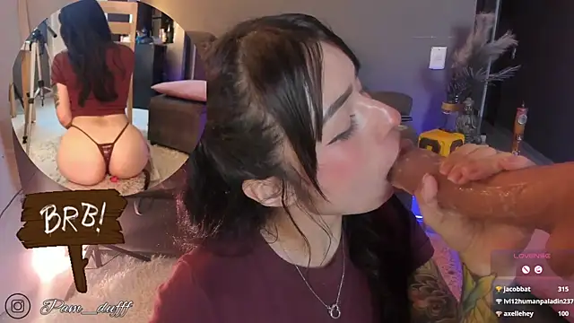 pamduff webcam