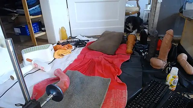 natjuk webcam