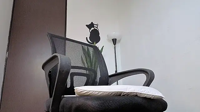 Arteemiiis webcam