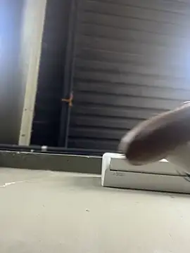 Sexysoeh webcam