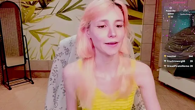 fleximona webcam