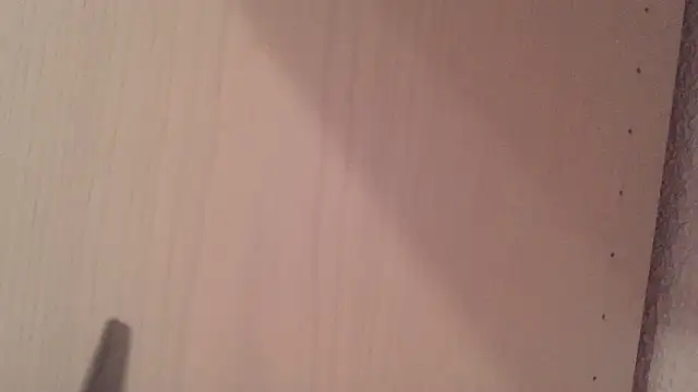 mery_lou20252 webcam