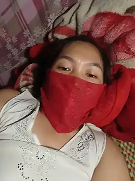 Hiha-nn webcam