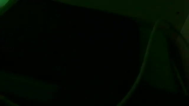 Pintiliescu webcam