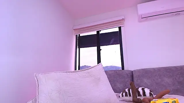 Brandhy_v webcam